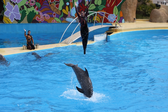 Marineland - Dauphins - 084